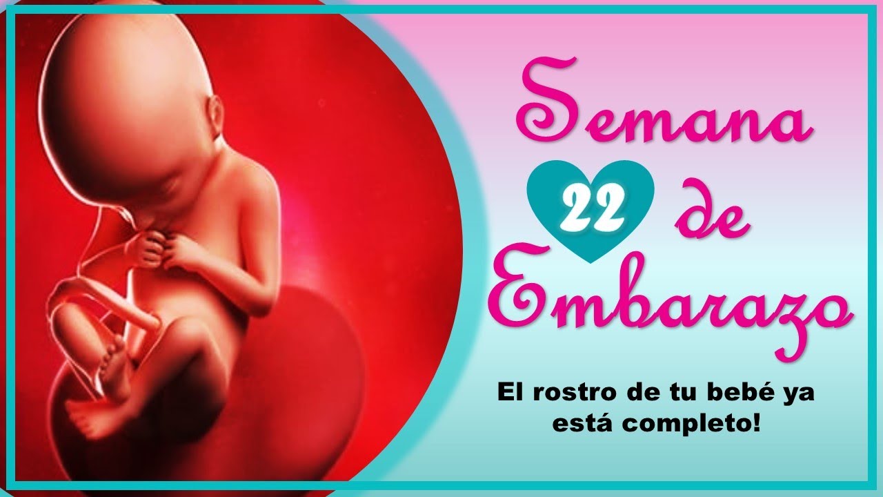 ❤️ SEMANA 22 DE EMBARAZO🤰 ❤️ ⏩ EMBARAZO SEMANA A SEMANA ⏩ Desarrollo y Evolución del Bebé 👶🏻
