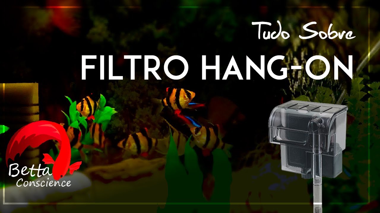 Tudo Sobre Filtro Hang-on "Filtro Cascata"