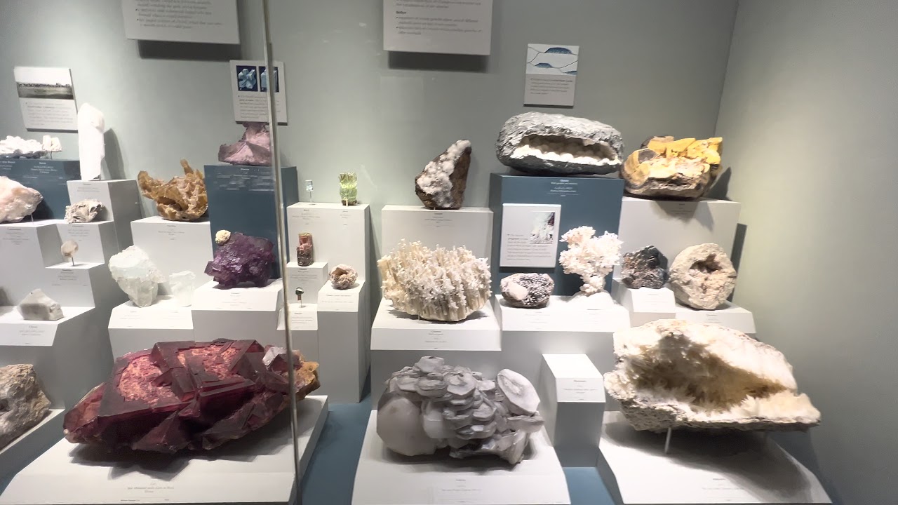 Washington DC | Smithsonian National Museum of Natural History | Gems and Minerals | observing tour.