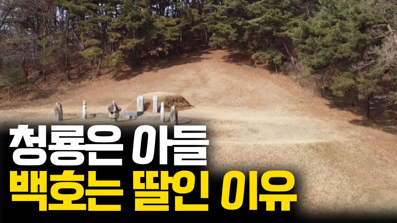 여자로 인해 가문이 번창한 사례. 한확 선생 묘소