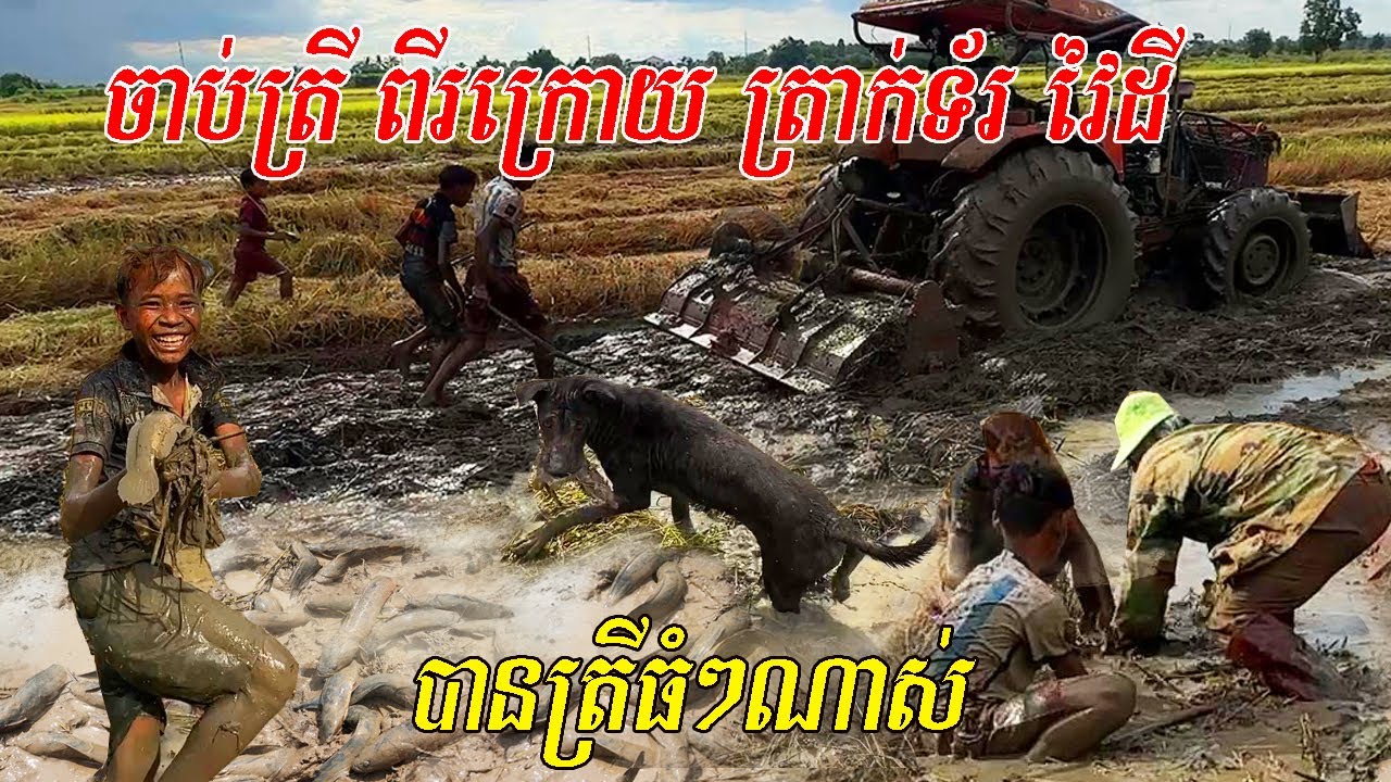 ក្នេងៗដេញចាប់ត្រីពីរក្រោយ អាត្រាក់ទ័រ បានច្រើនណាស់ សុទ្ធតែត្រីធំៗ