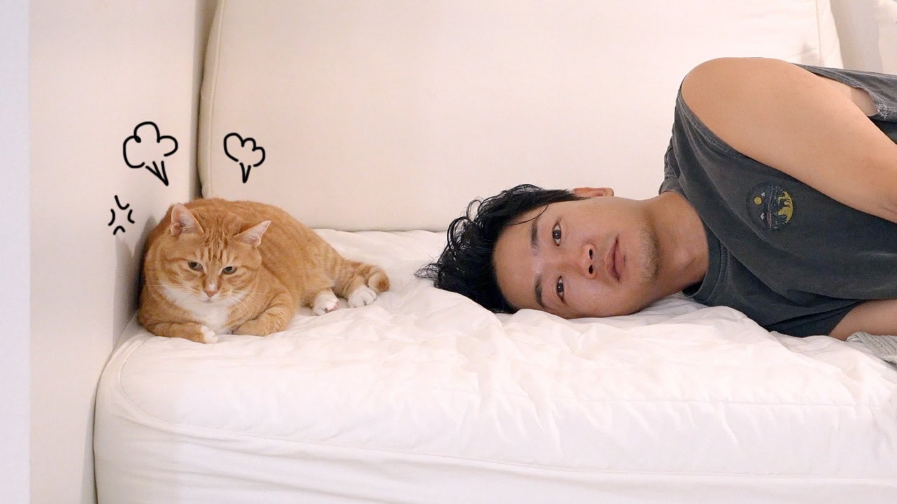 아니 딸고영들 원래 이런가요...?