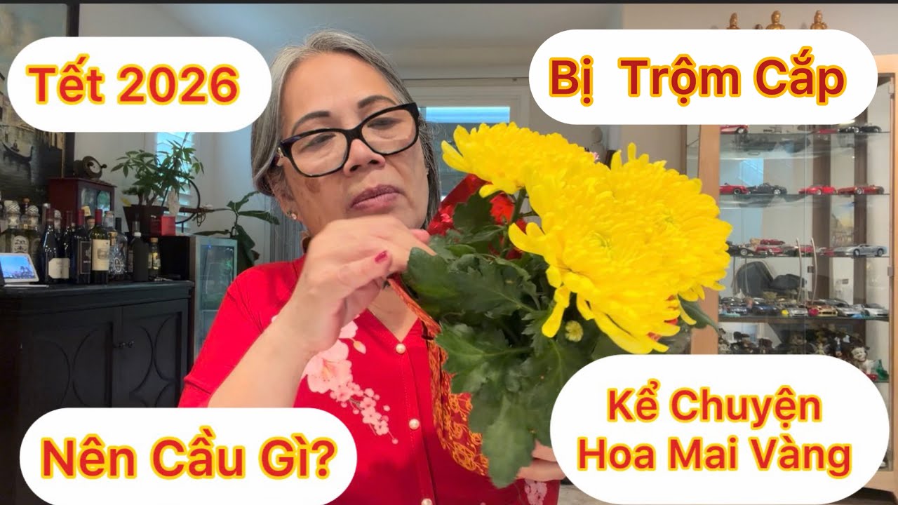 Tập 1827:Tết Năm  Nay Hồng Cầu Xin Gì ? Chuyện Bị Trộm Cắp Chậu Mai Vàng Trước Tết 