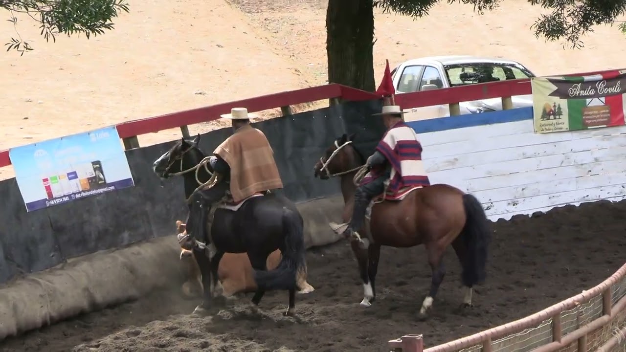T. 25/26 | Rodeo Lumaco | Tercera Serie Libre | 07 y 08 de febrero
