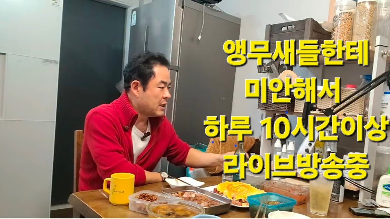 후회없는 인생을 살고 싶은  대구앵무새농장의  휴먼스토리 (1편)