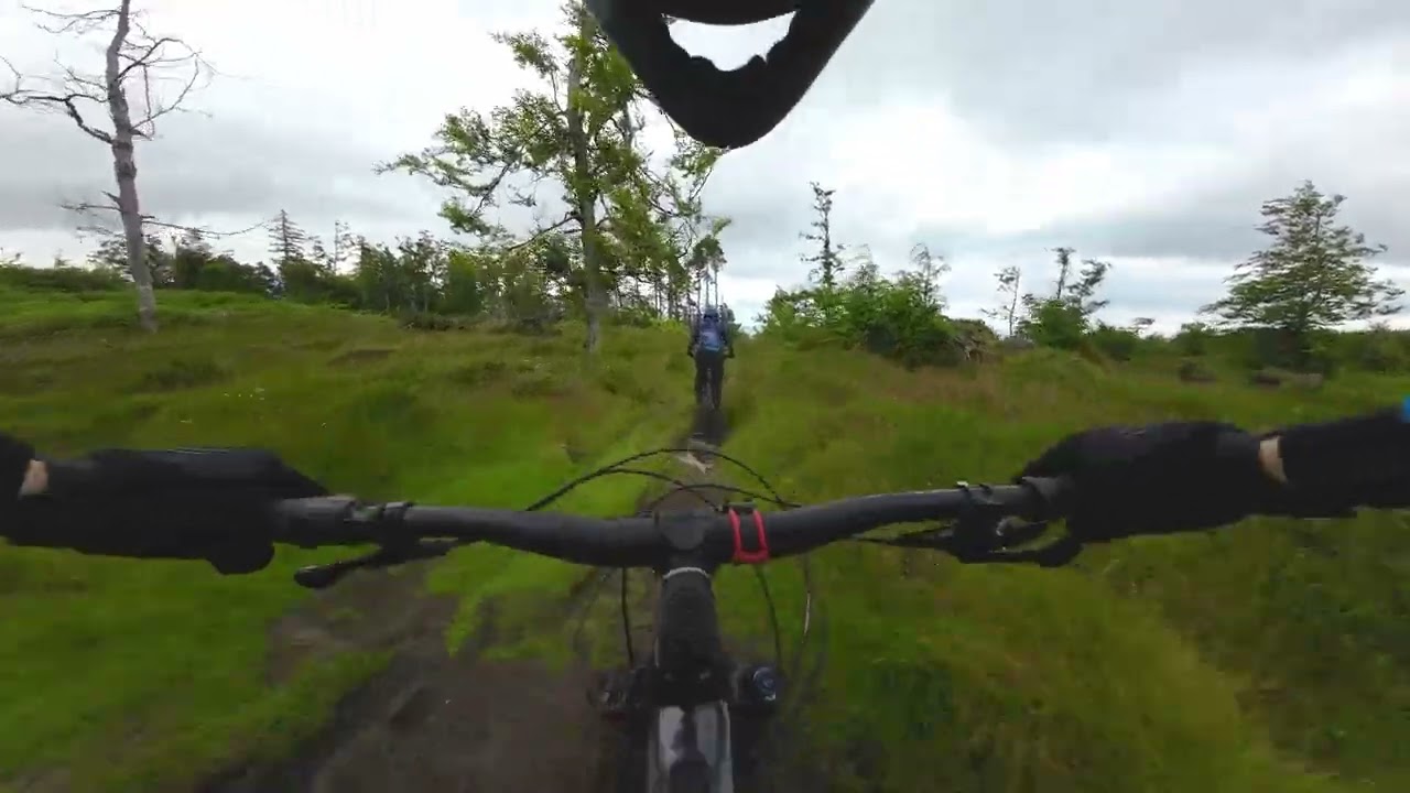 Tollymore MTB