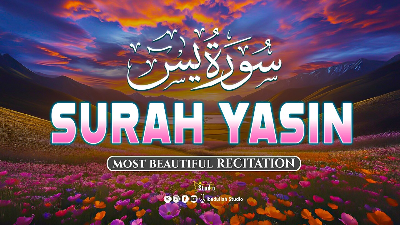 Surah Yaseen سورة يس | Calming Lofi Quran Recitation for Night Peace & Relaxation #surahyaseen