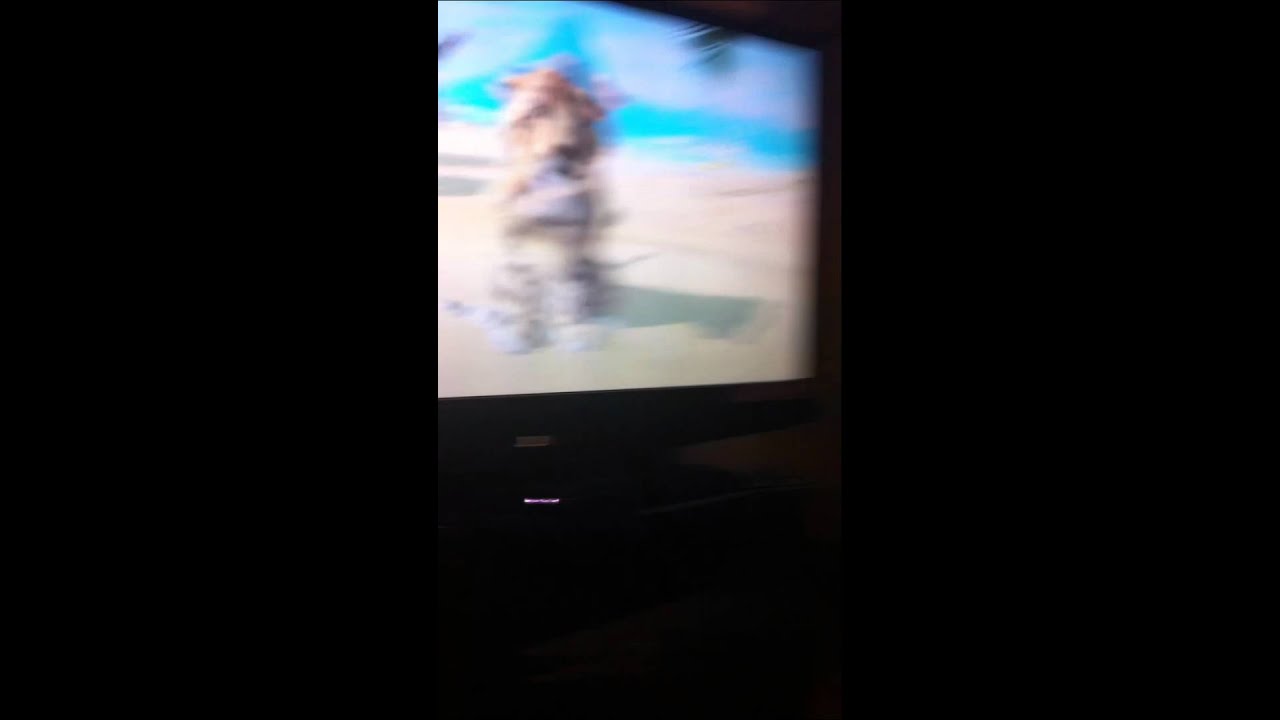 Kinectimals x360