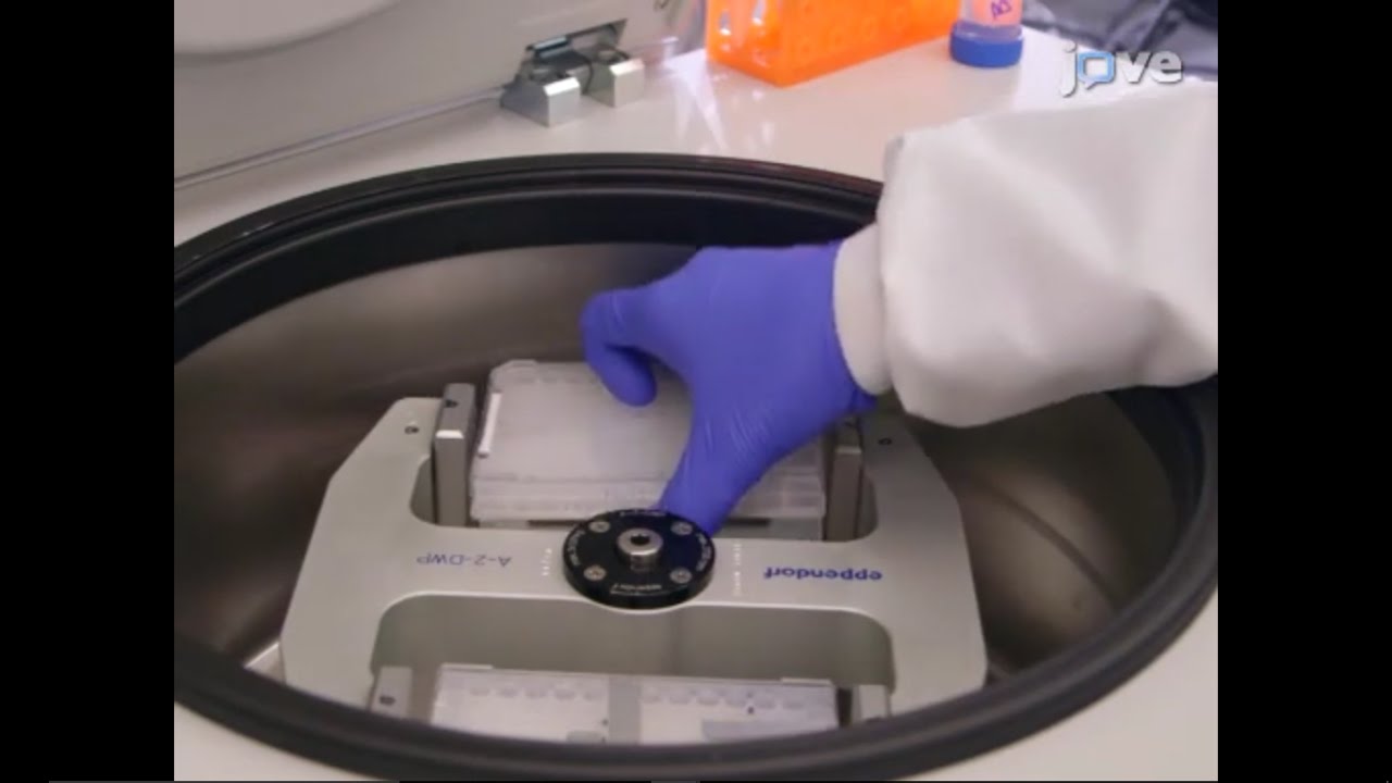 Next Generation Sequencing for the Detection of Actionable Mutations in Solid and Liquid Tumors
