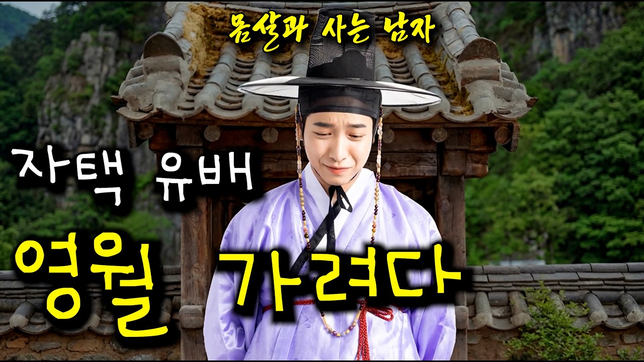 '왕과 사는 남자' 보고 영월 가려다 자택 유배 당한 브이로그