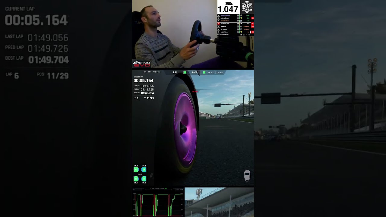Assetto Corsa EVO: NEW YEAR RACES #ACE166L