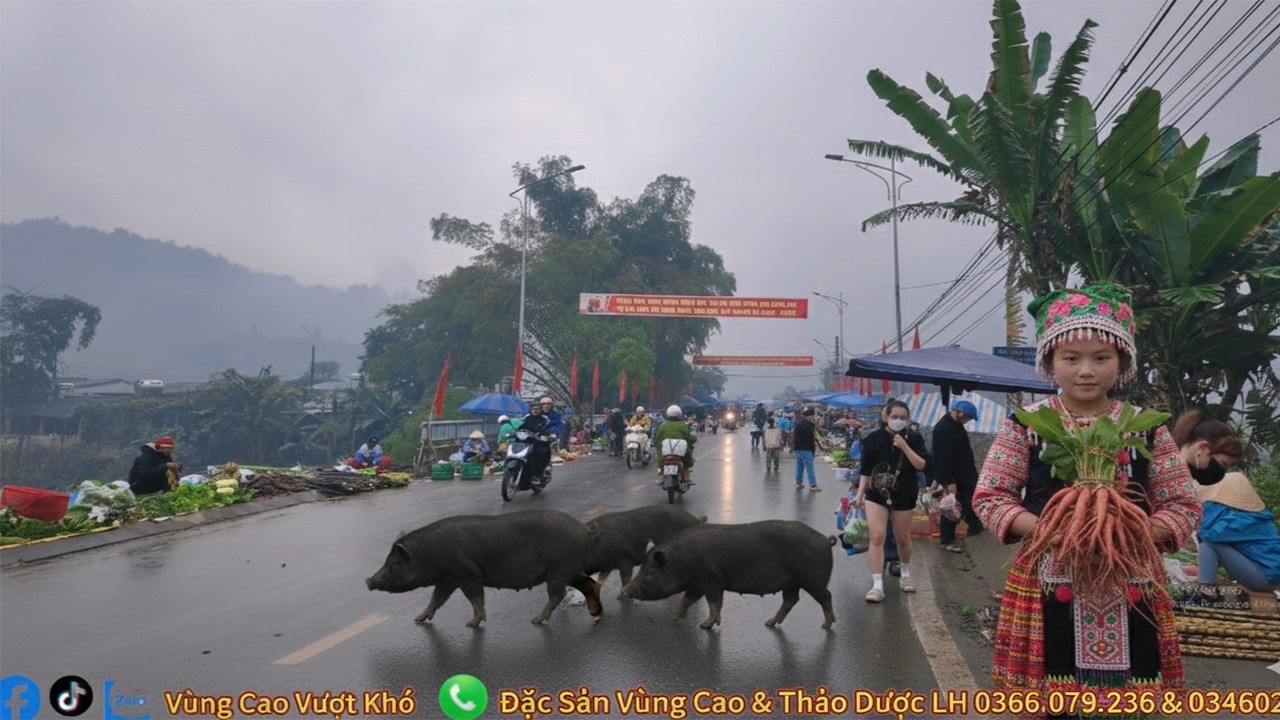 Chợ Phiên Tây Bắc Bình Yên Dản Dị Trên Vùng Cao Tây Bắc