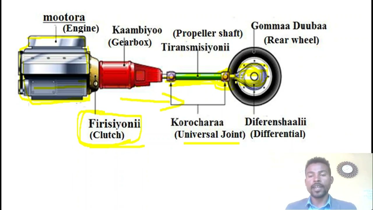 leenjii konkolaachisumma dabarsoo humna (power transmition) irraatti barsiifame.