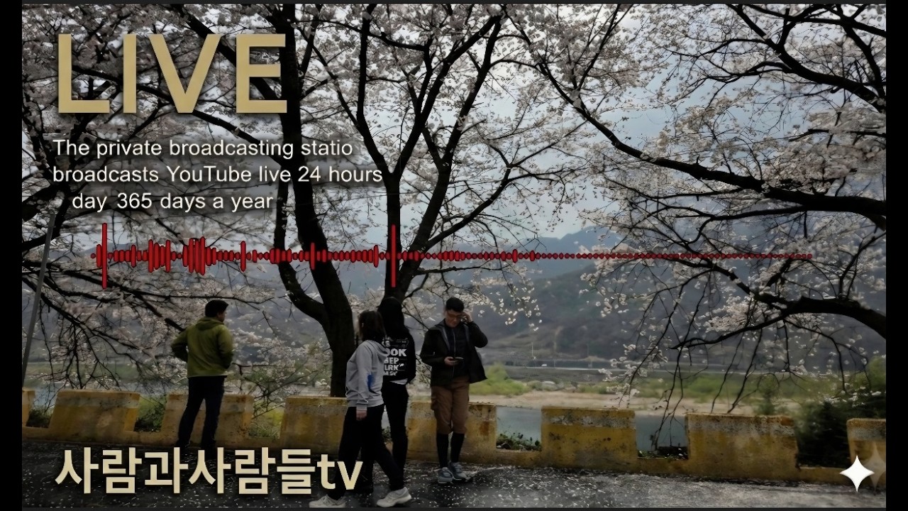 365일 라이브 24시간 사사음악방송국00117