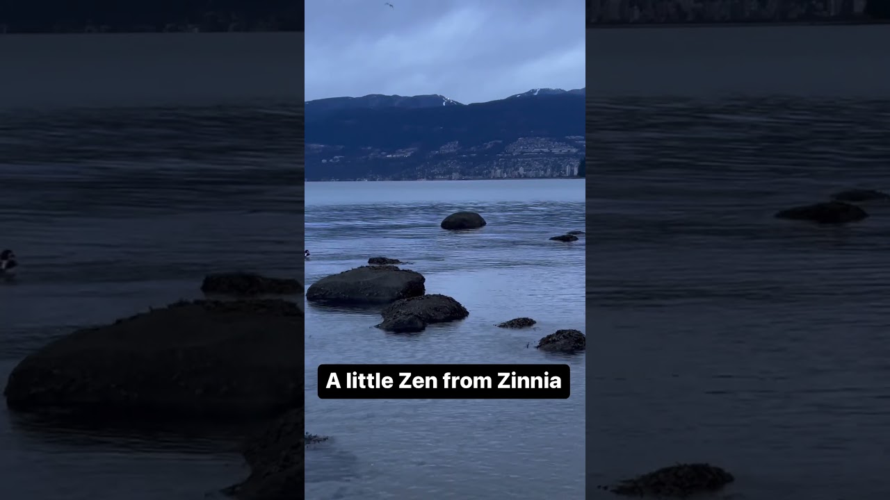 Zinnia videos bring calm to people living with dementia and their caregivers.