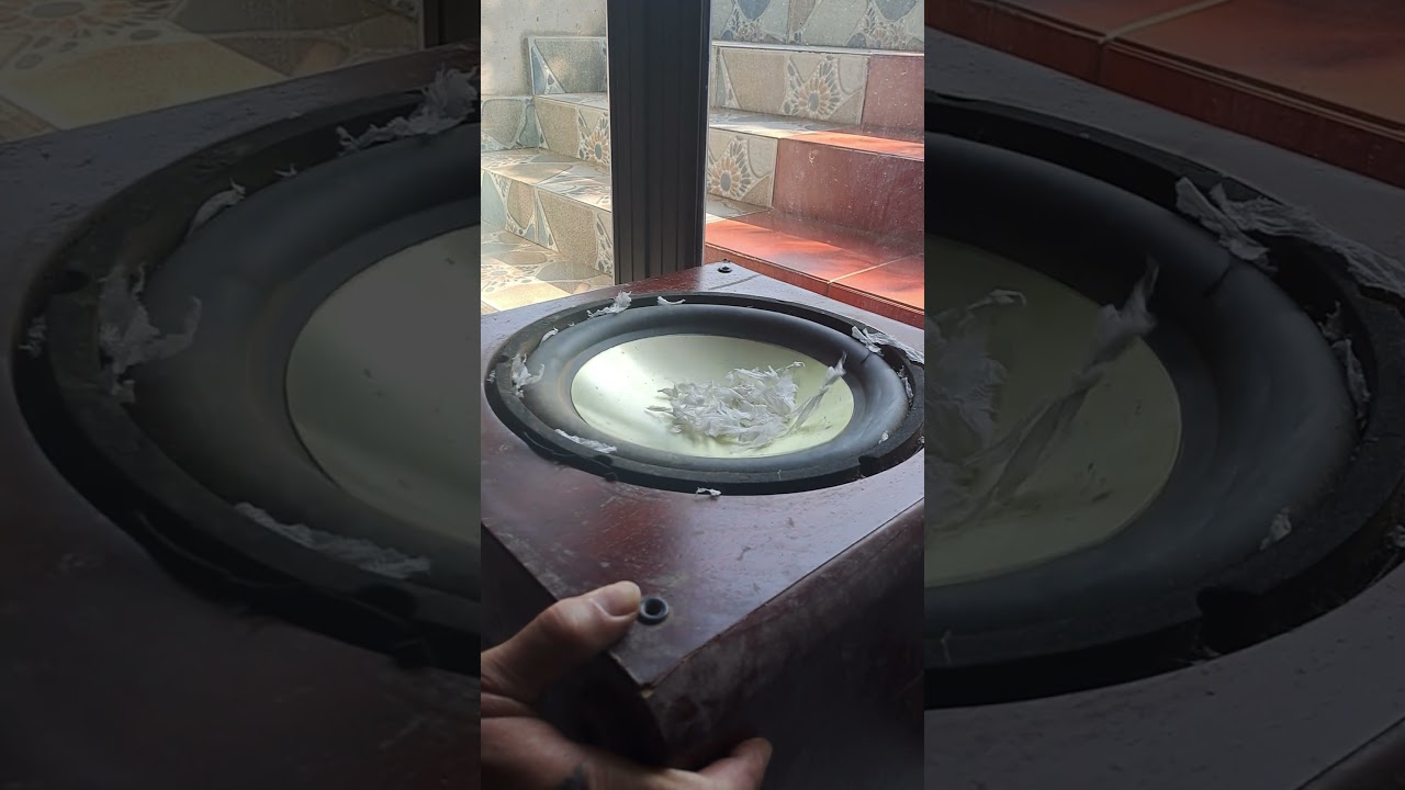 12 Years Silent... UNTIL NOW! (Golden 12 Subwoofer) 