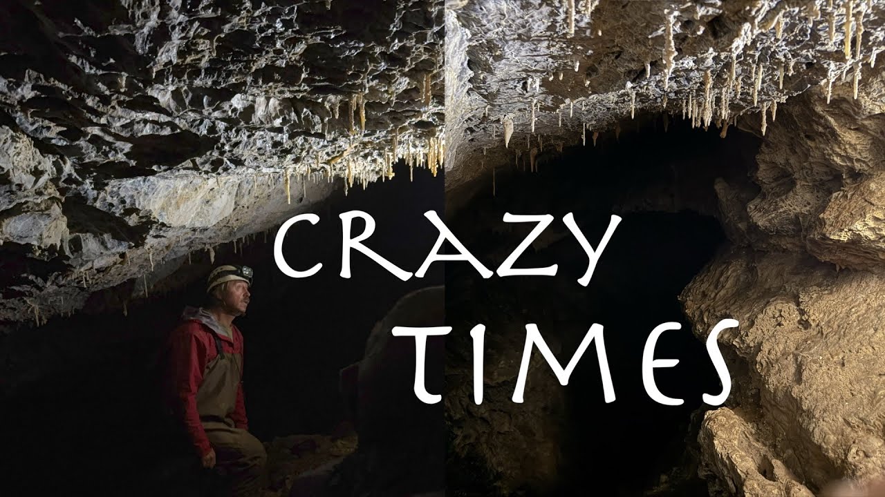 Crazy Times