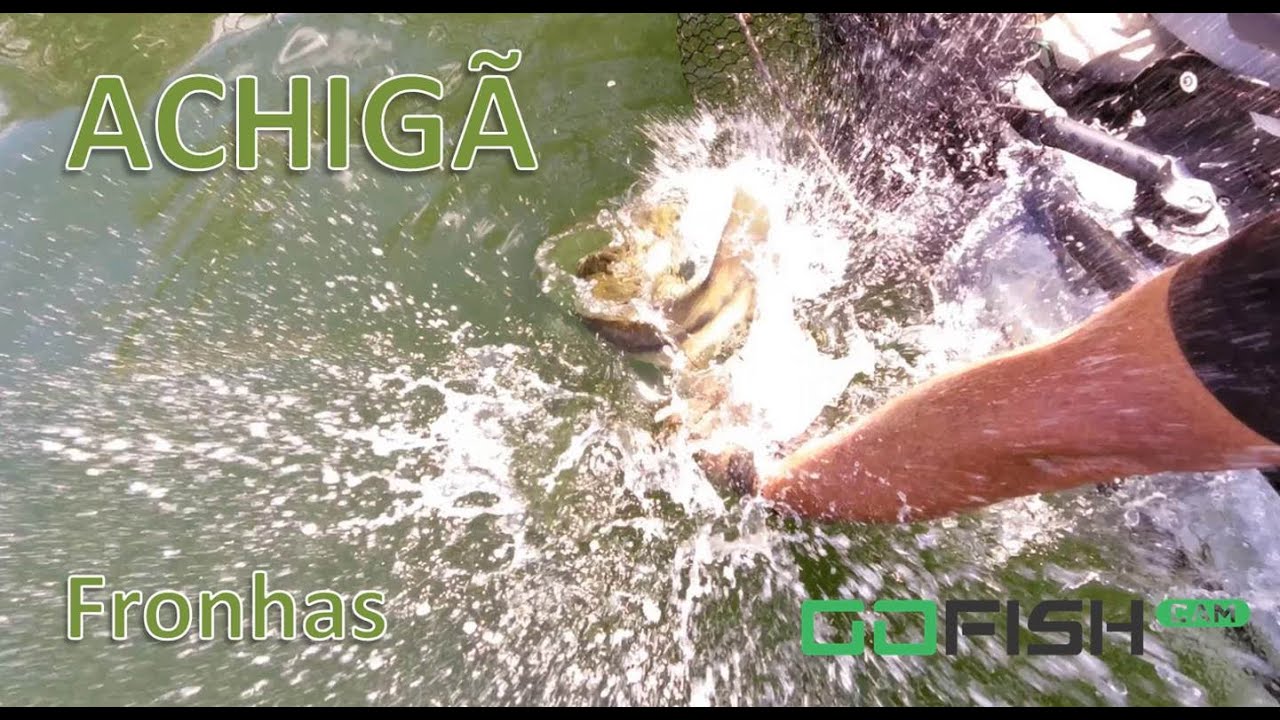 Pesca ao Achigã