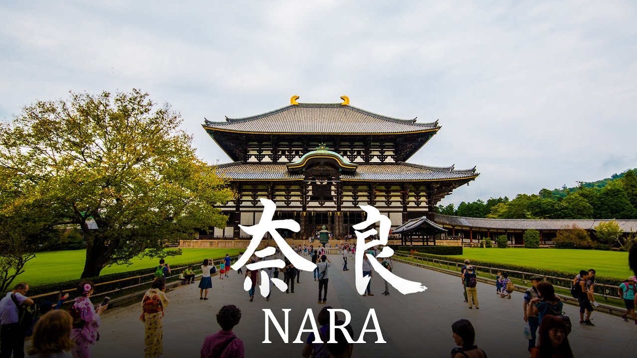 Une journée à NARA (奈良) : temples sublimes et cerfs partout.