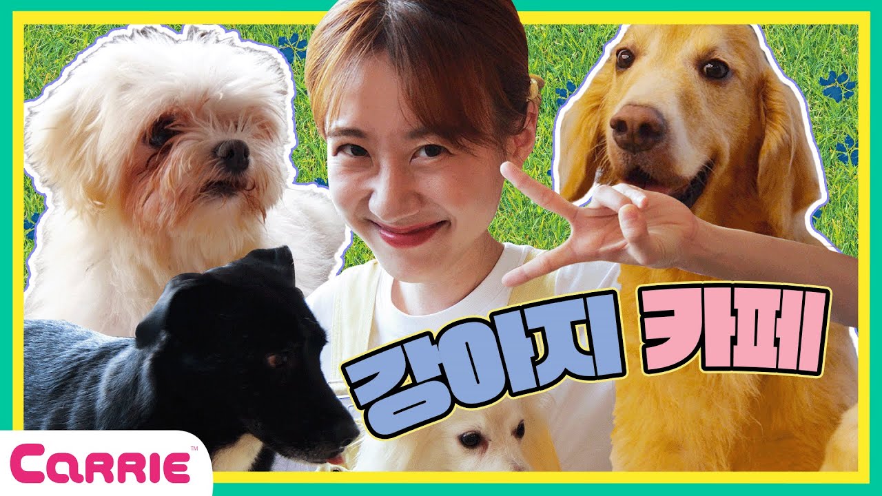 유기견을 돌봐주자!🐶 엘리의 강아지 친구 만들기~ | 강아지 | 애견카페 | 유기견카페 | 반려견 | 엘리가간다2