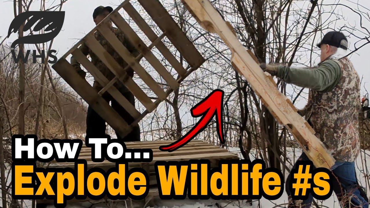 How to Create Rabbit Huts, Grouse Habitat and Turkey Nesting