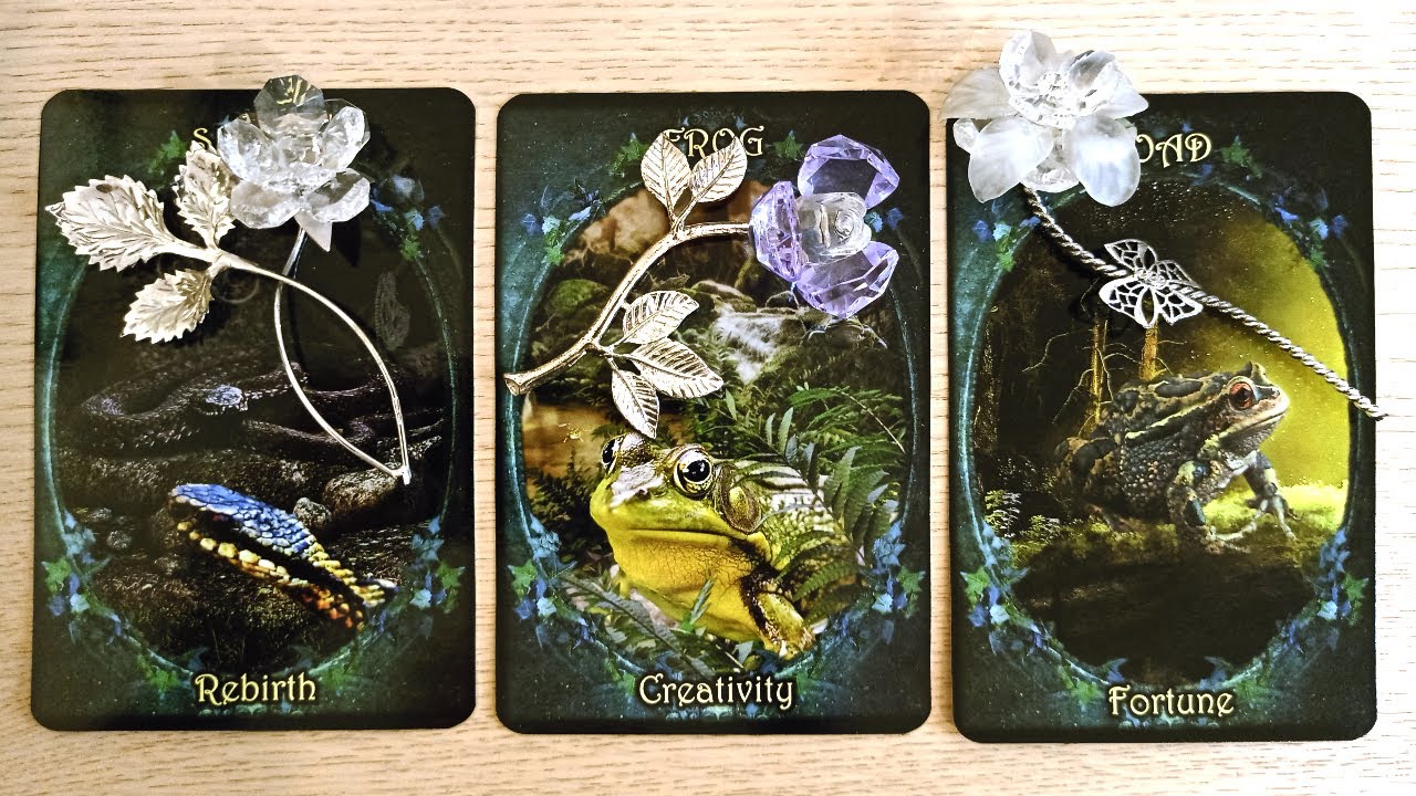 ❤️🖤WHAT Is Their NEXT MOVE Towards You & The Connection? 🐻‍❄️🤍 PICK A CARD Timeless Love Tarot
