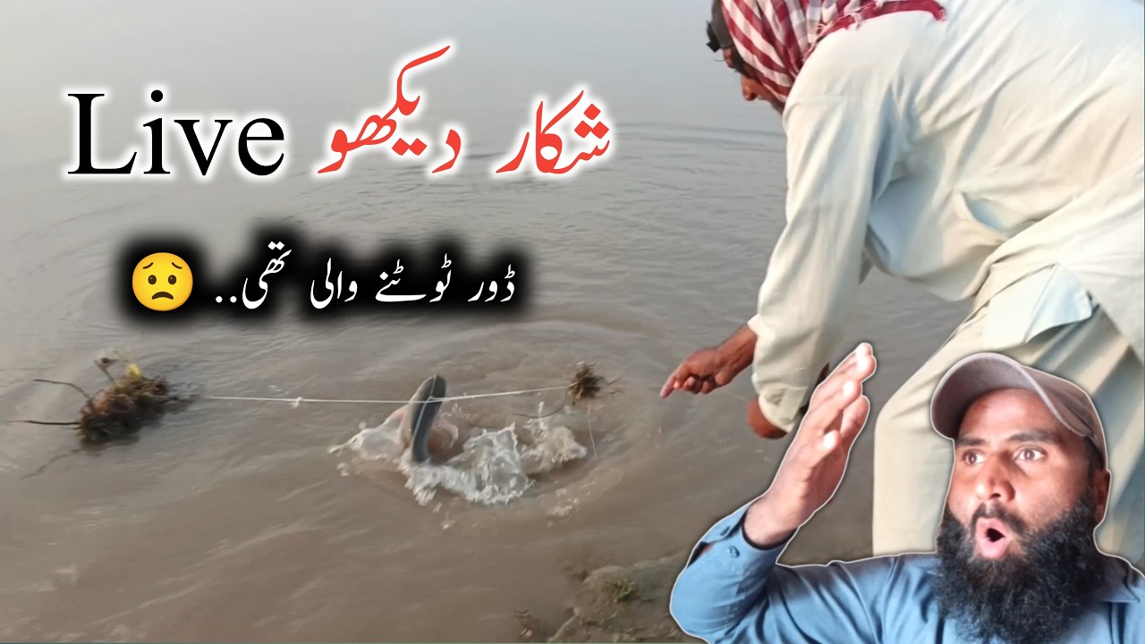 Live fishing in river