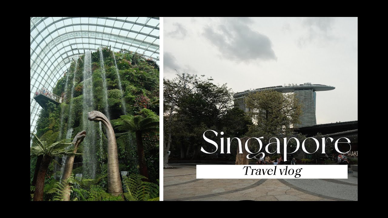 First trip abroad with Trey | meeting dinosaurs | watching dancing lights