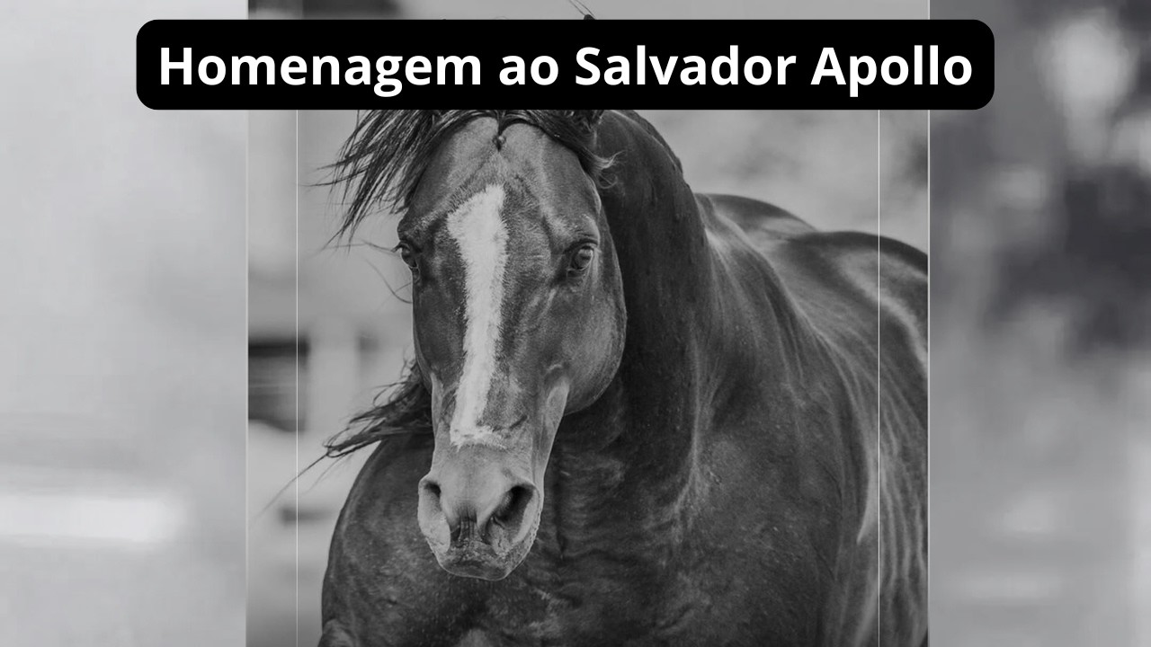 Luto na Vaquejada: Morre Salvador Apollo | Multicampeão que Marcou a História das Pistas