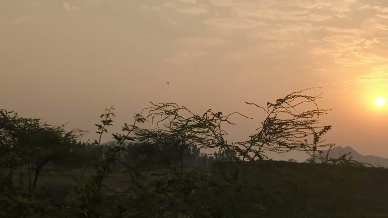 Bike par jaty Desi mahool ka nezara#desilife #youtube #fyp #viral #villagelife #views 