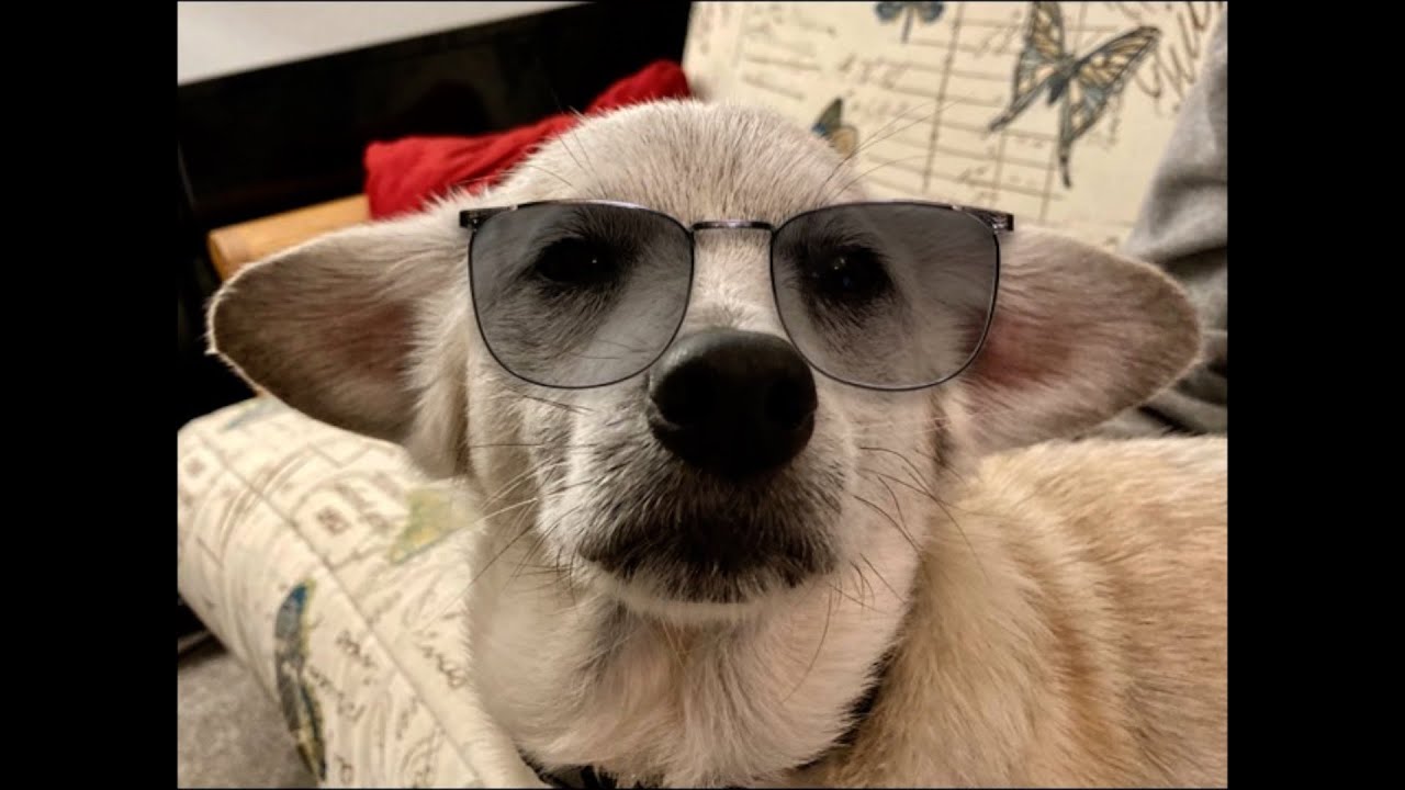 Have You Met Mr Mort?