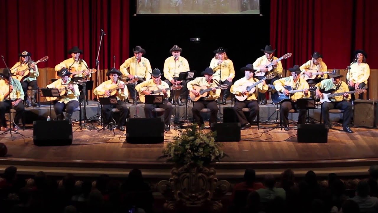 Orquestra de Viola Caipira Mistura Boa - Boiadeiro Errante