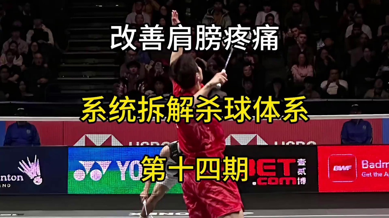 打完球肩膀疼？系统拆解杀球体系(ep.14)：改善肩峰撞击造成的肩膀疼痛！可能不是因为你的动作有问题，而是肩胛骨上回旋不够导致的肩峰撞击 #羽毛球教学 #羽毛球