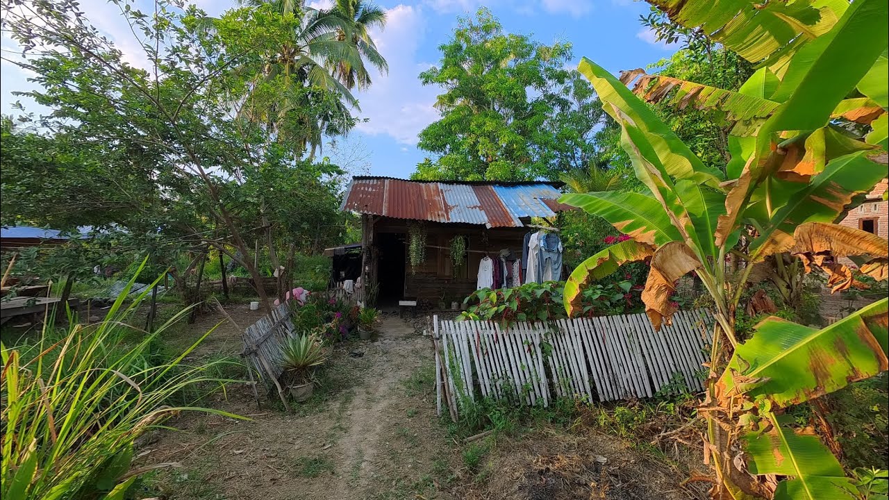 🌿 Away from the City! Discover the Peaceful Life in a Remote Indonesian Village 🏡✨