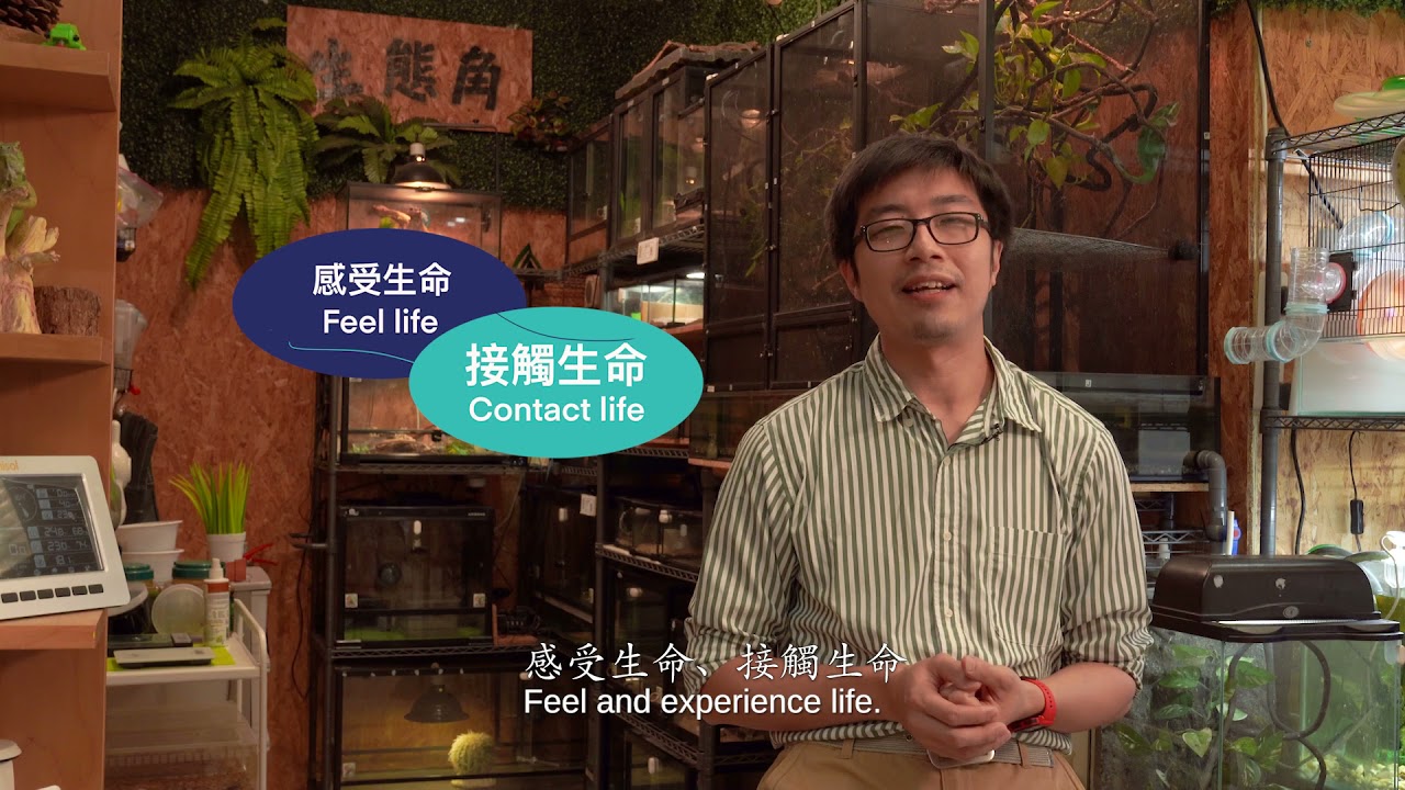 學校專訪：聖若瑟英文中學