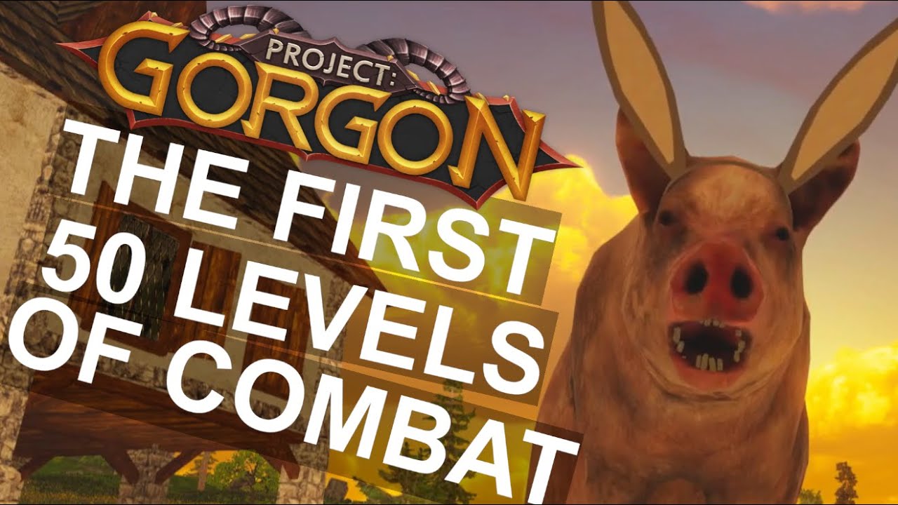 Project: Gorgon - The First 50 Levels of Combat