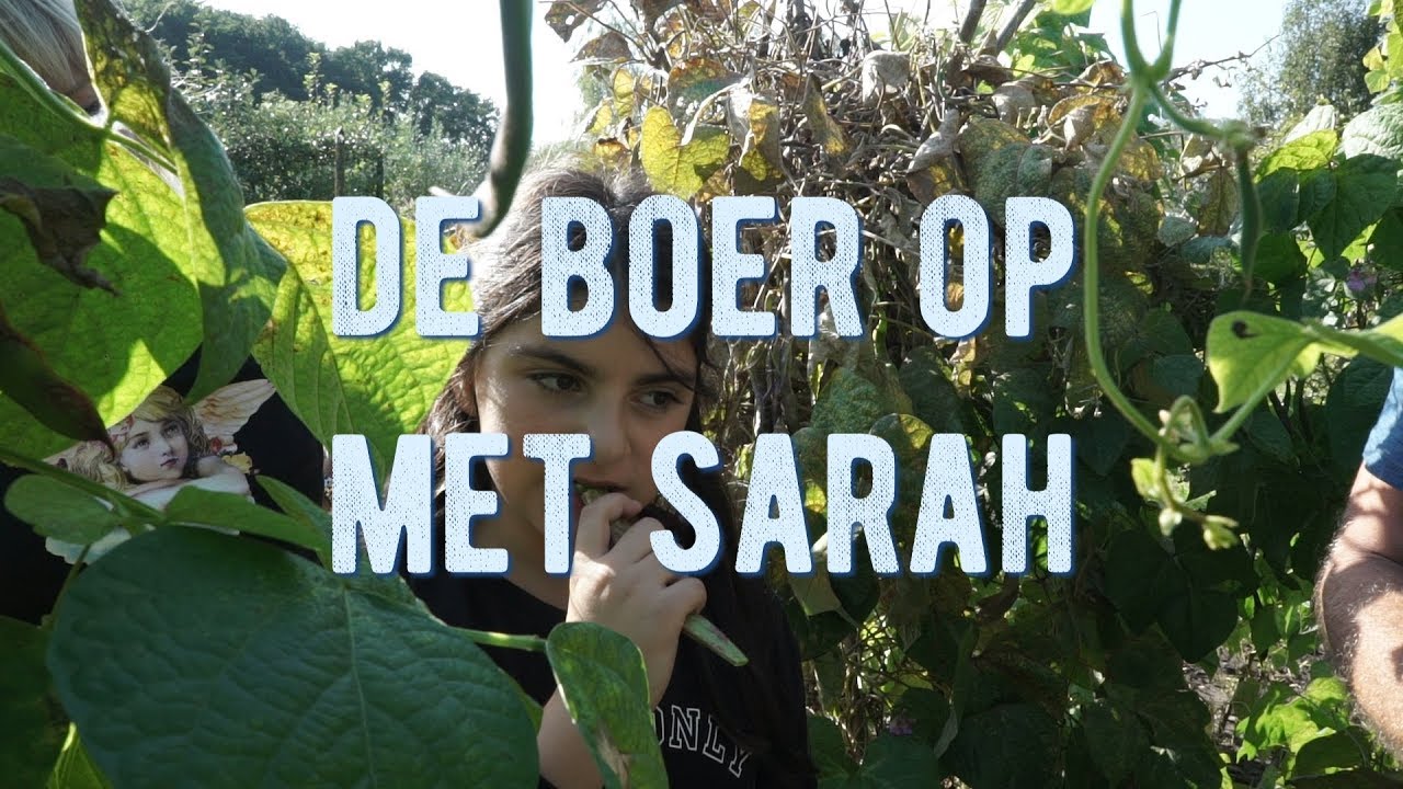 De Boer Op: Bonen