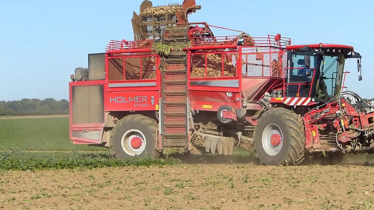 HOLMER T4   arrachage betteraves 2015