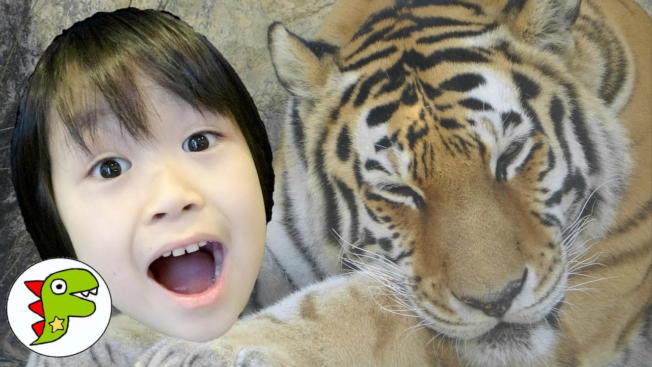 レオくんがおでかけ！日本平動物園！ Part82 トイキッズ