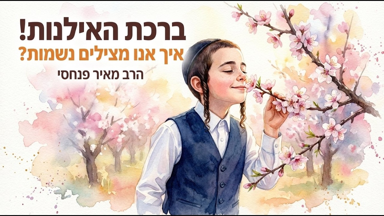 הרב מאיר פנחסי ● פרויקט חברותא ● דיני וביאור ברכת האילנות