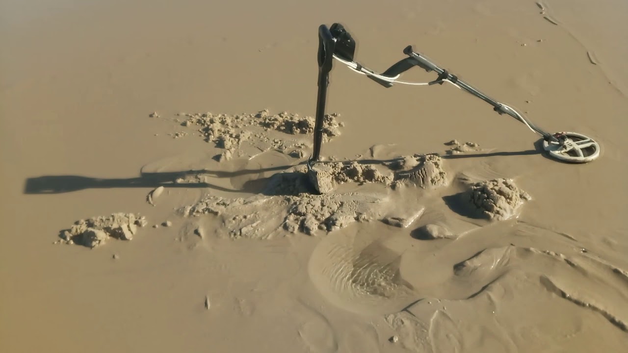 Détection à la plage durant les grandes marées 2019