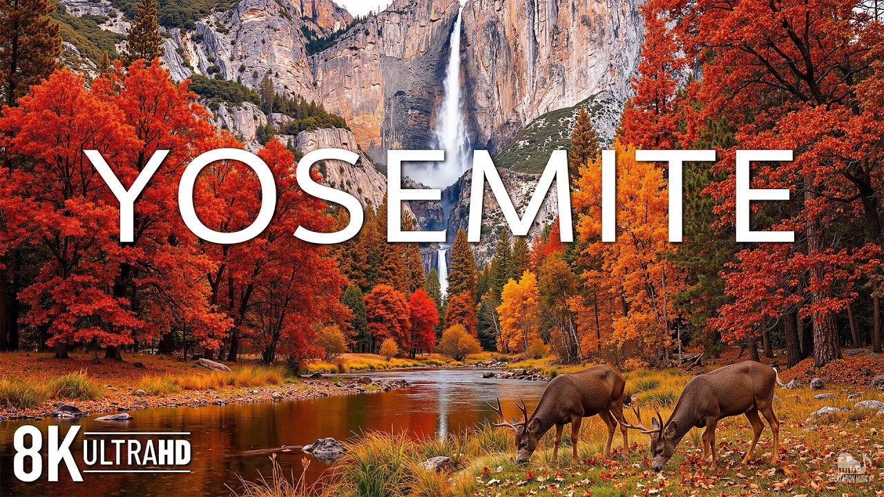 Yosemite National Park in Autumn 8K 🍁 Discover Half Dome, El Capitan & Fall Colors | Video 8K