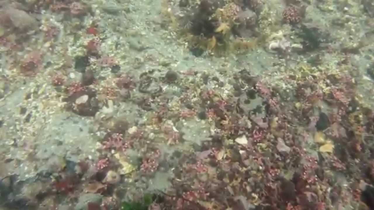 Sarah Stage Posts 'Beautiful' Breastfeeding Pic: If You Don't Like It Unfollow Me