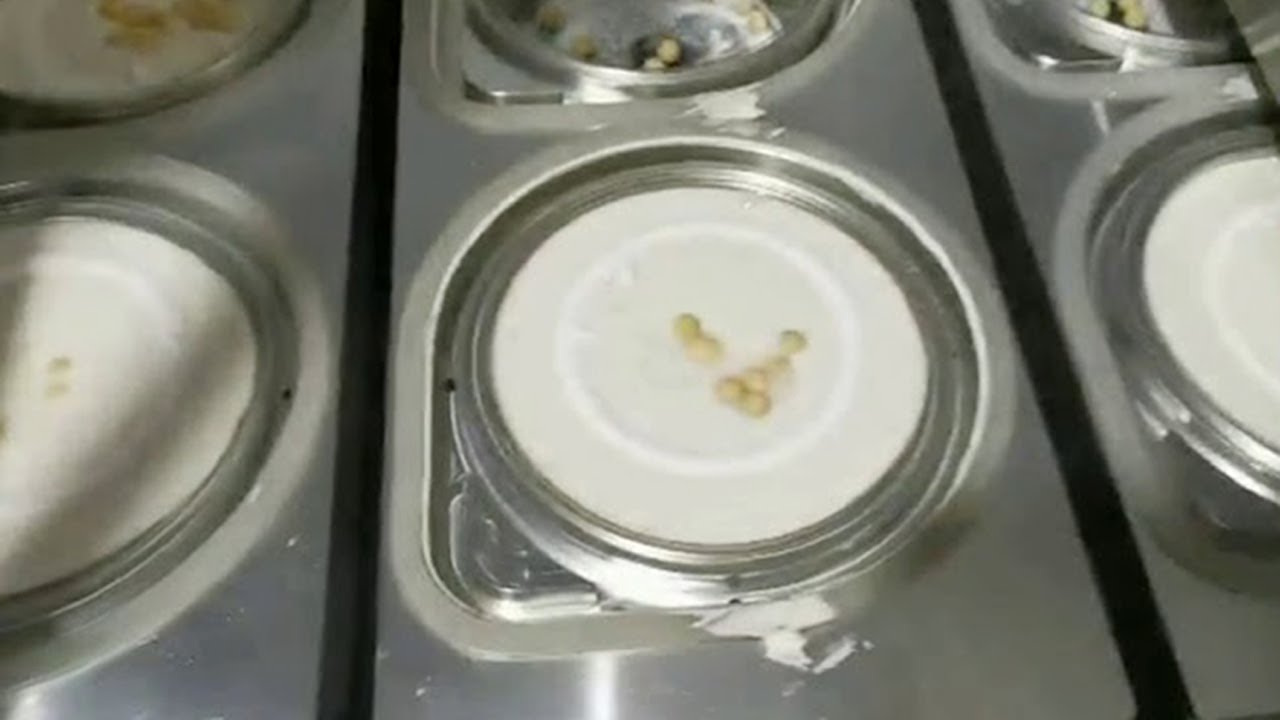 automatic Hummus cup filling sealing machinery liquid granules powder cupping line for USA customer