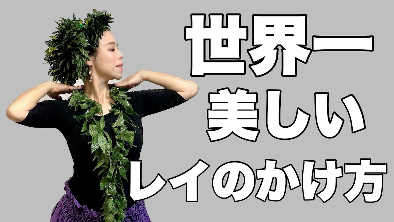 メリーモナーク 優勝チームから学ぶレイのかけ方No331