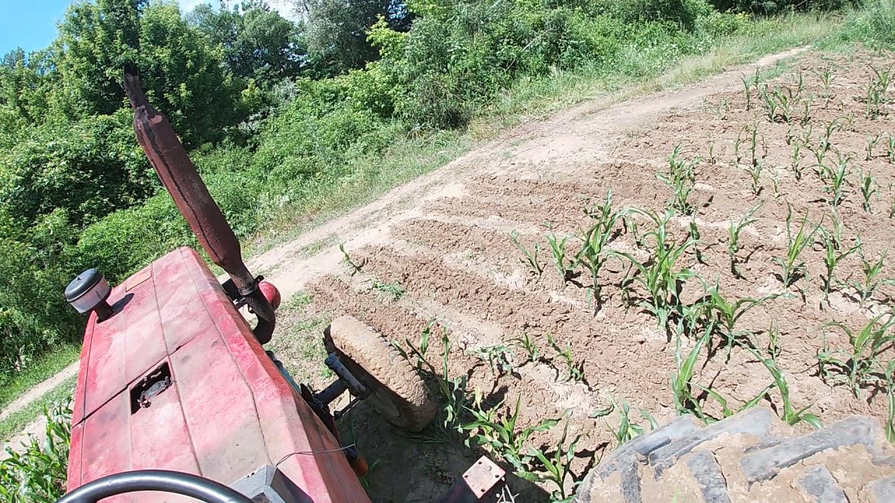 Tractor-vlog-u650+Prasitoare pe 5 secții-La îngropat porumbi din 2021 ep1
