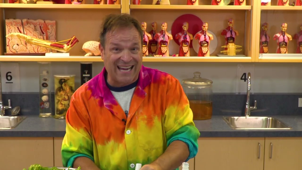 Expérience: Une photo végétale!