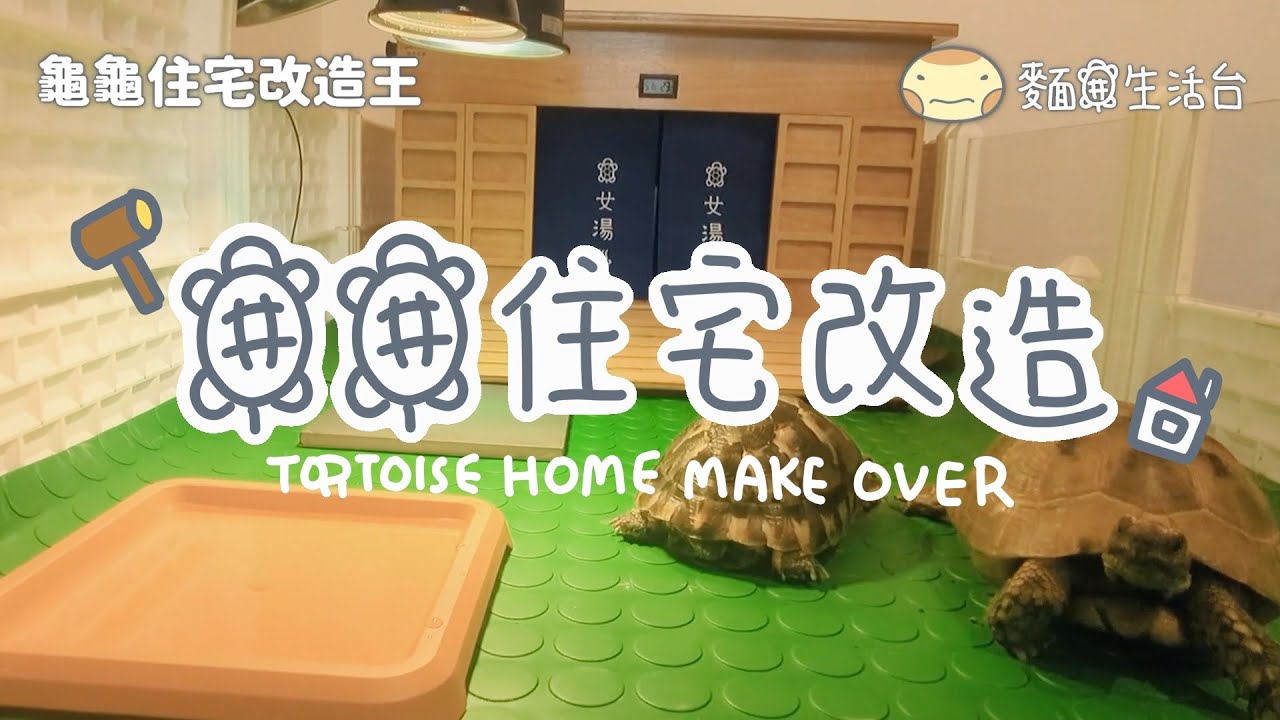 龜龜住宅改造王 Tortoise Home Makeover