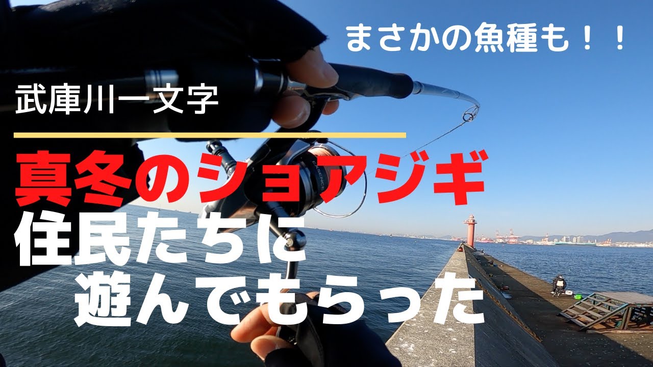 真冬のショアジギで武庫川一文字の住民たちに遊んでもらった（2020年12月27日）