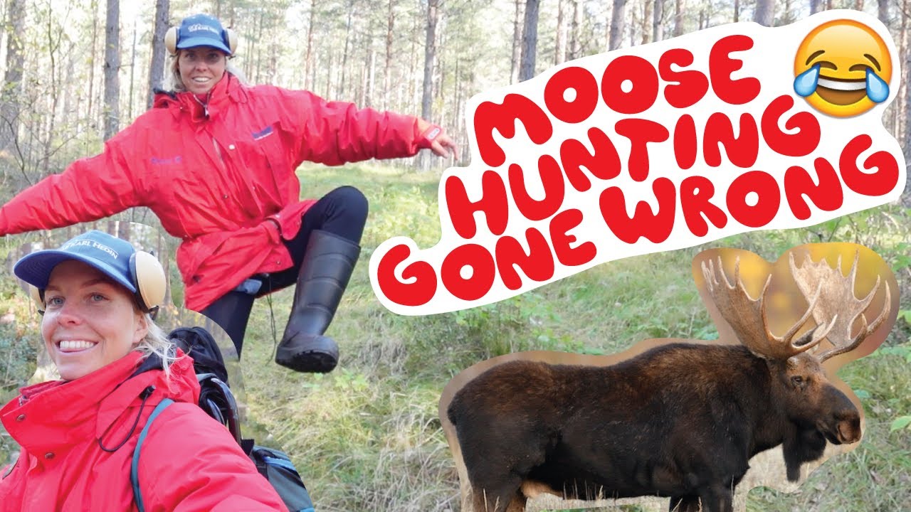 MOOSE HUNTING IN SWEDEN